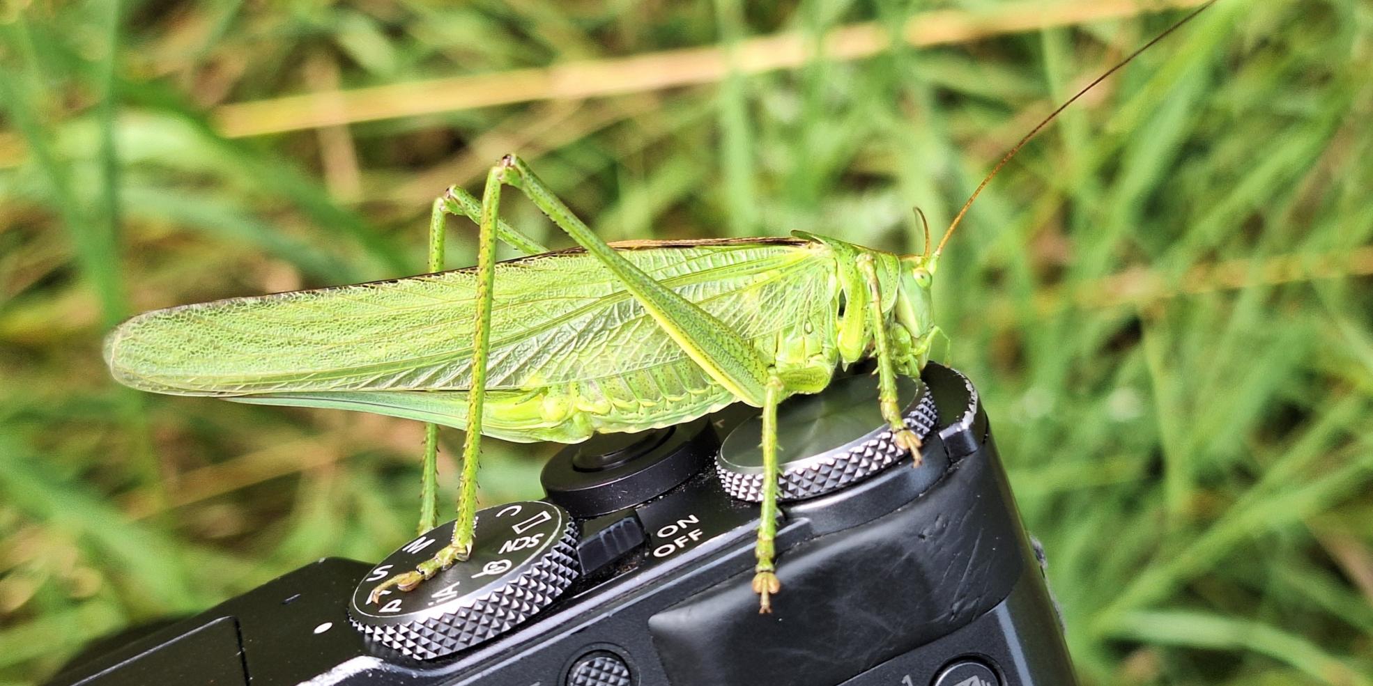 Naturfotografie Workshop